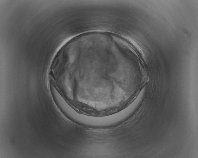 X0000116281468200912291343
