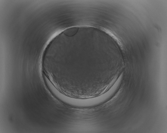 X0000116281469200912291343
