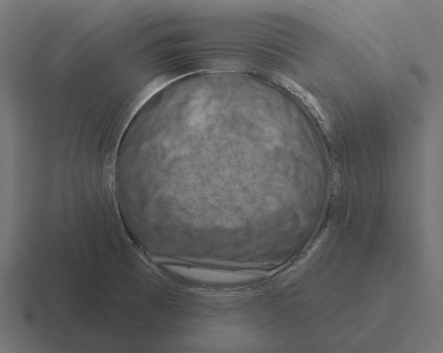 X0000116281473200912291343