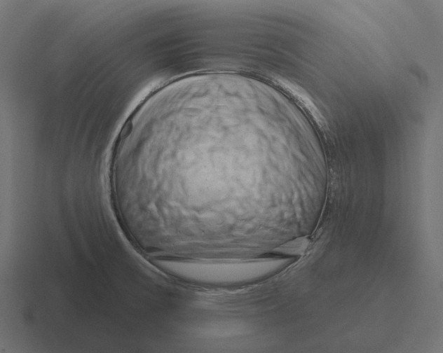 X0000116281475200912291343