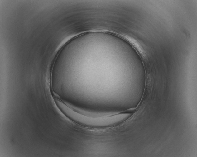 X0000116281476200912291343