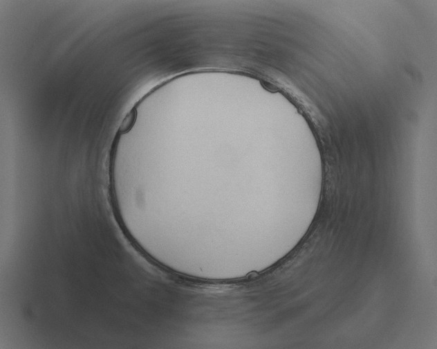 X0000116281479200912291343