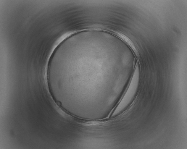 X0000116281482200912291343