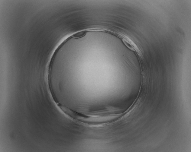X0000116281484200912291343