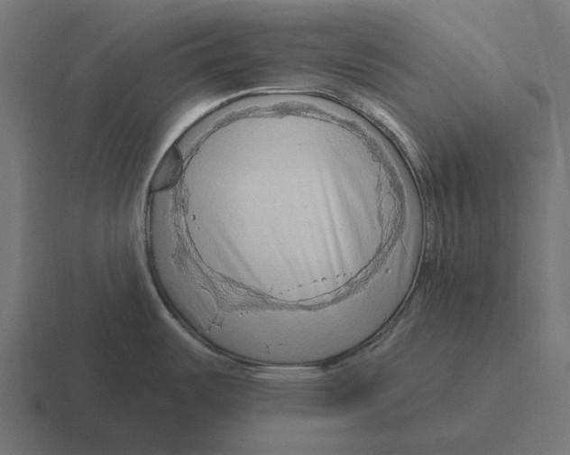 X0000116281487200912291343
