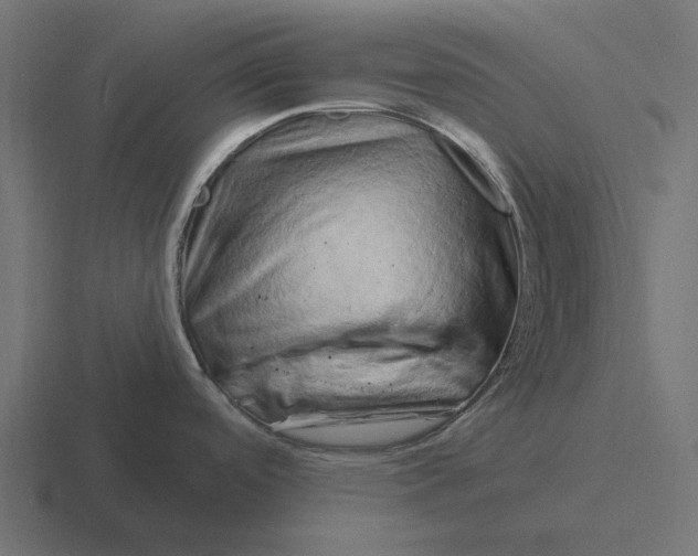 X0000116281488200912291343