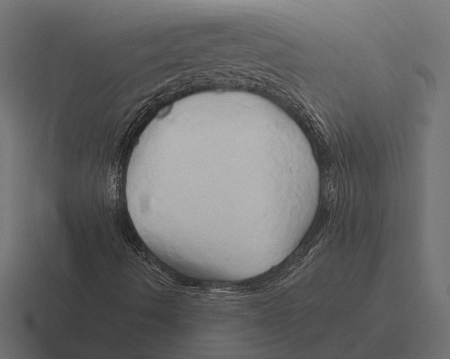 X0000116281490200912291342