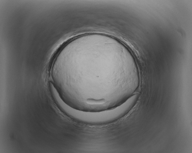 X0000116281503200912291343
