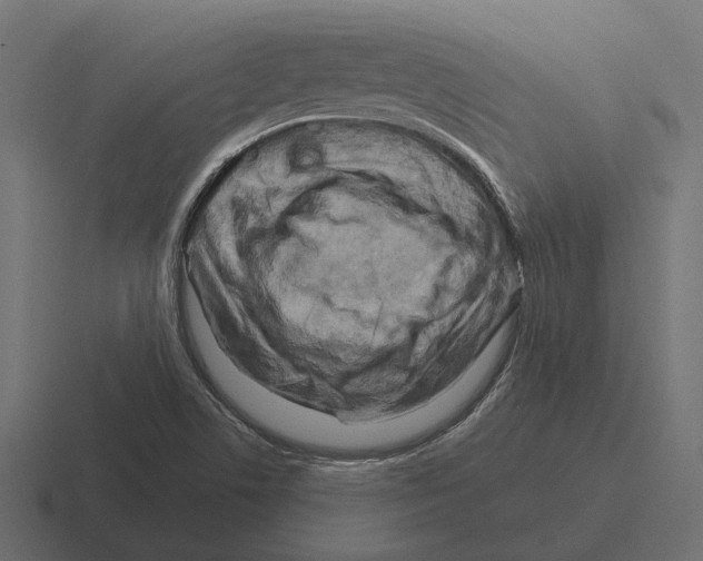 X0000116281506200912291343