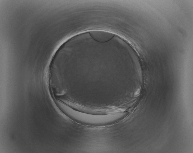 X0000116281519200912291343