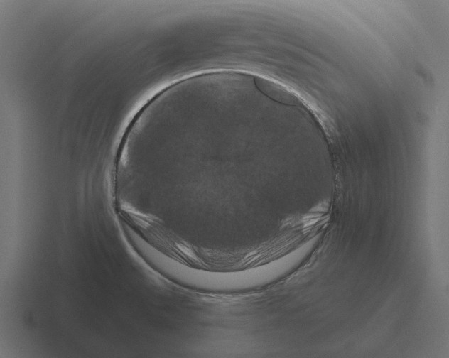X0000116281527200912291343