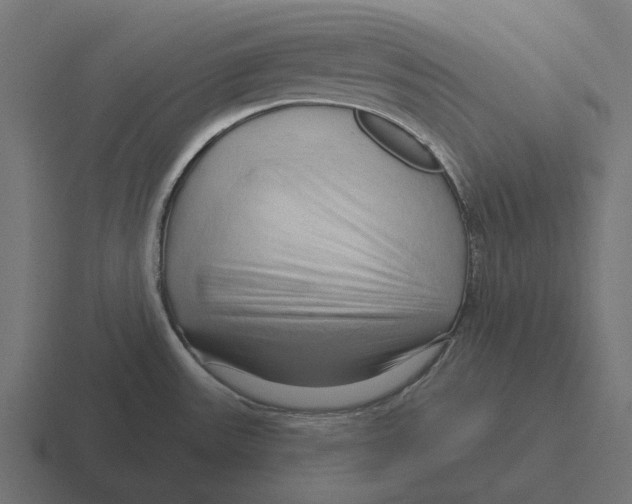 X0000116281531200912291343