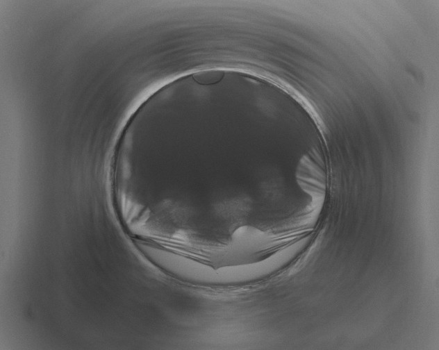 X0000116281533200912291343