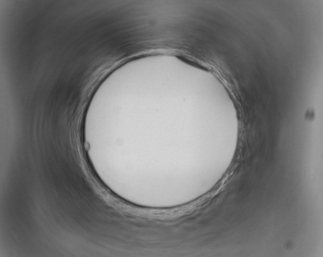 X0000116280001201001111045