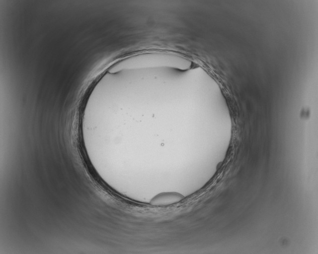 X0000116280005201001111045