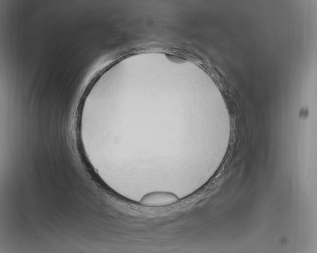 X0000116280006201001111045