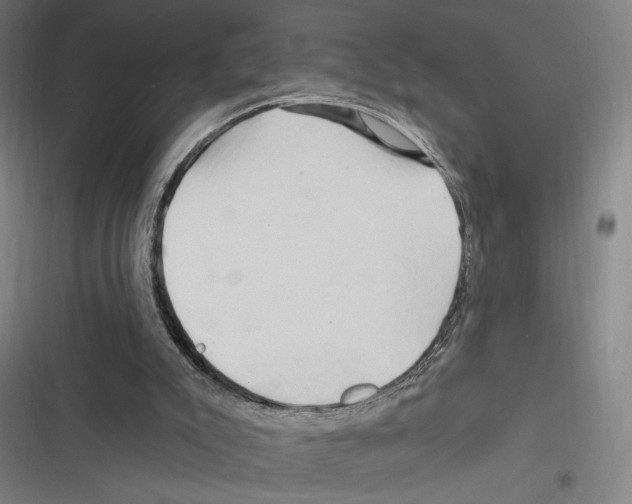 X0000116280007201001111045