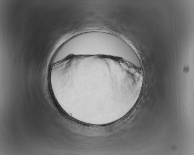 X0000116280008201001111045