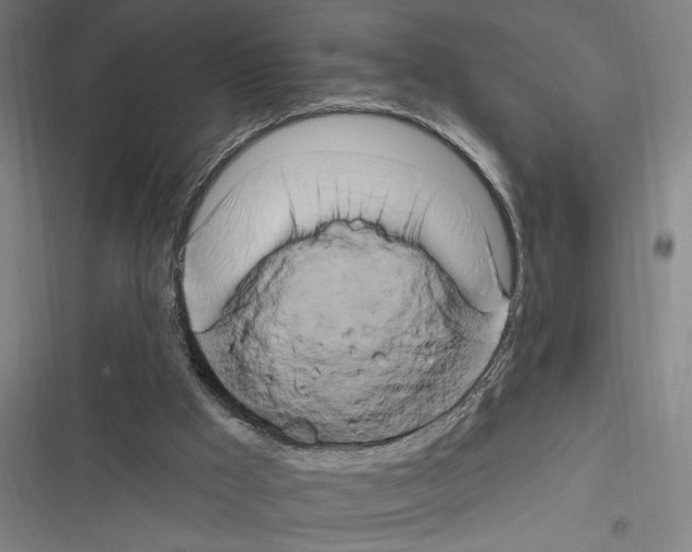 X0000116280009201001111045