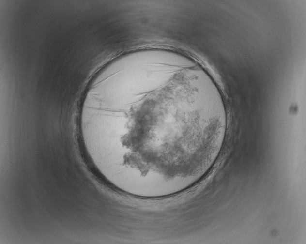 X0000116280010201001111045