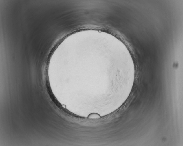X0000116280011201001111045