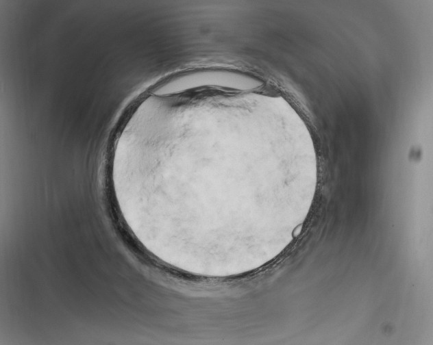 X0000116280012201001111045