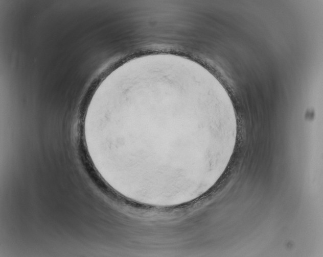 X0000116280016201001111045
