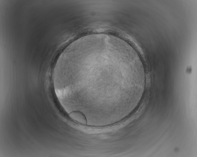 X0000116280018201001111045