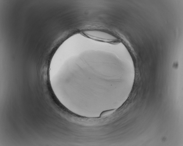 X0000116280019201001111045
