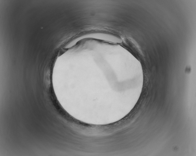X0000116280020201001111045