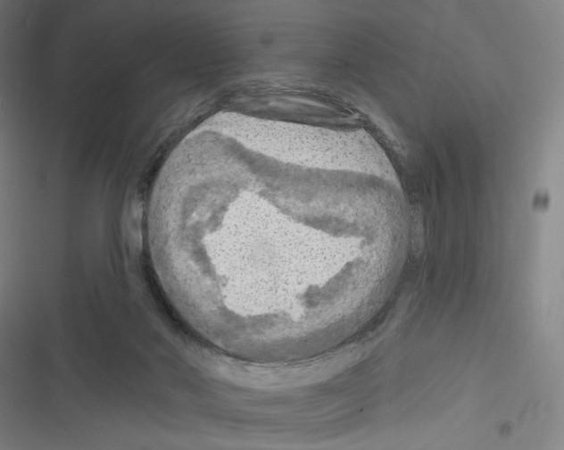 X0000116280022201001111045