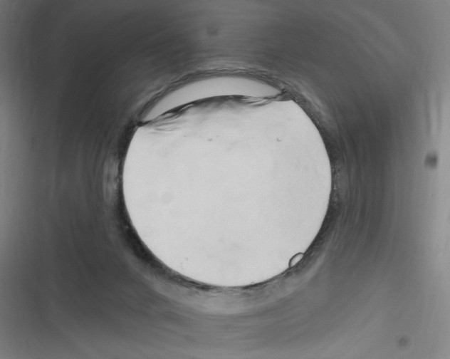 X0000116280024201001111045