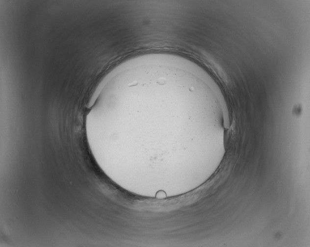 X0000116280025201001111045