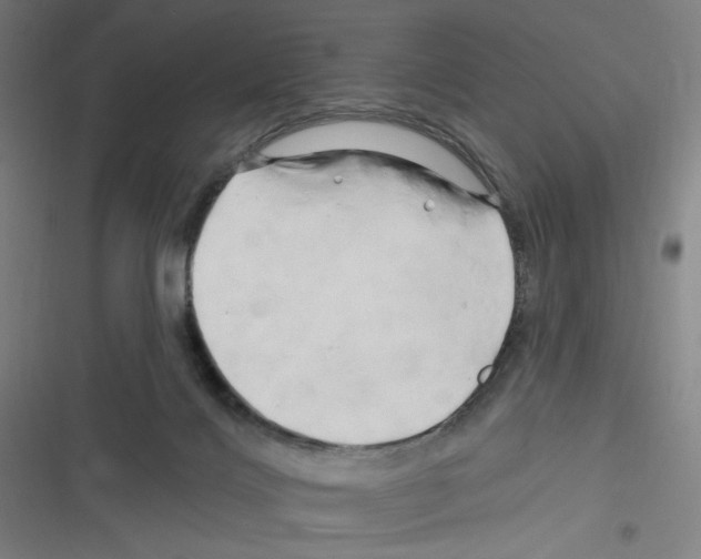 X0000116280028201001111045