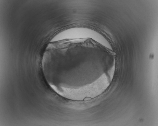 X0000116280029201001111045
