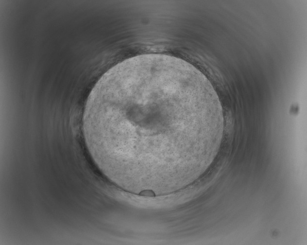X0000116280030201001111045