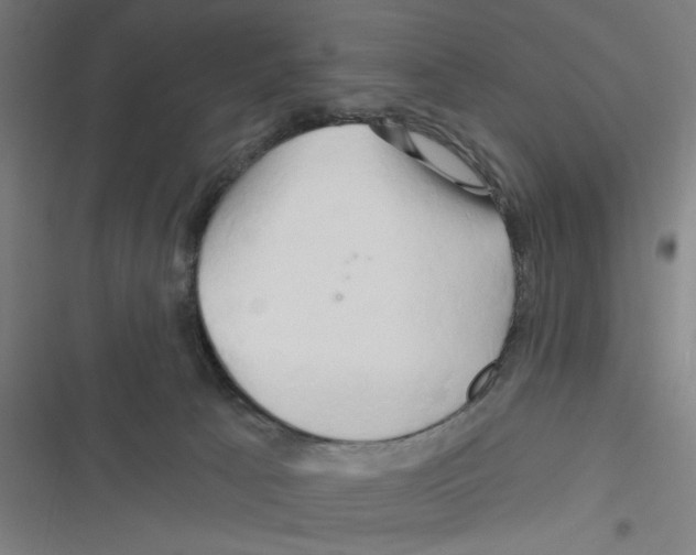 X0000116280033201001111045
