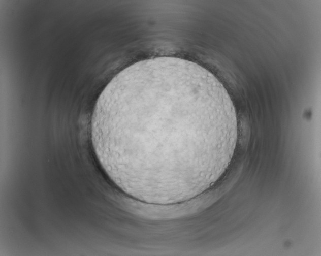 X0000116280034201001111045