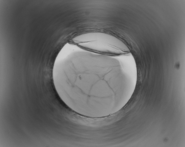X0000116280035201001111045