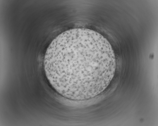 X0000116280038201001111045