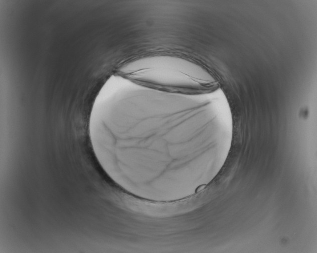 X0000116280039201001111045