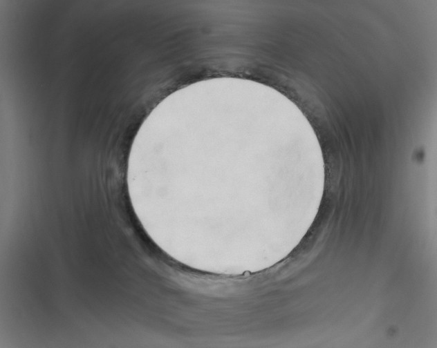 X0000116280040201001111045