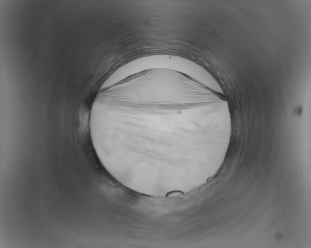 X0000116280041201001111045