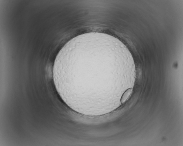 X0000116280042201001111045