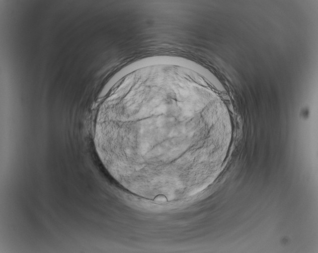 X0000116280043201001111045
