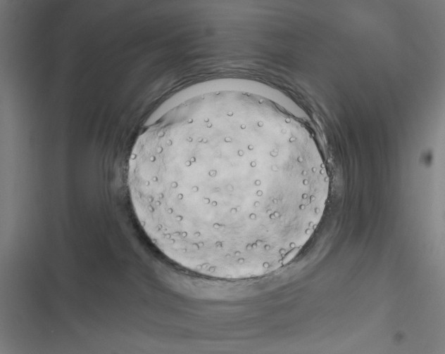 X0000116280044201001111045