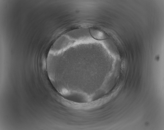 X0000116280046201001111045