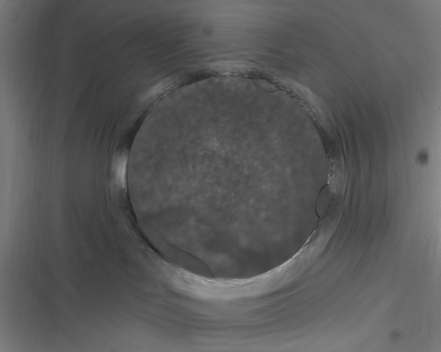 X0000116280047201001111045