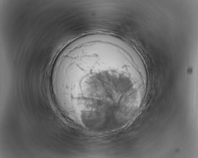 X0000116280049201001111044