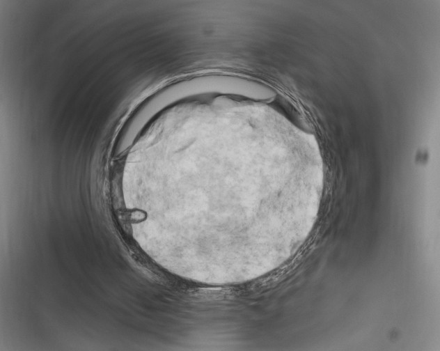 X0000116280050201001111044